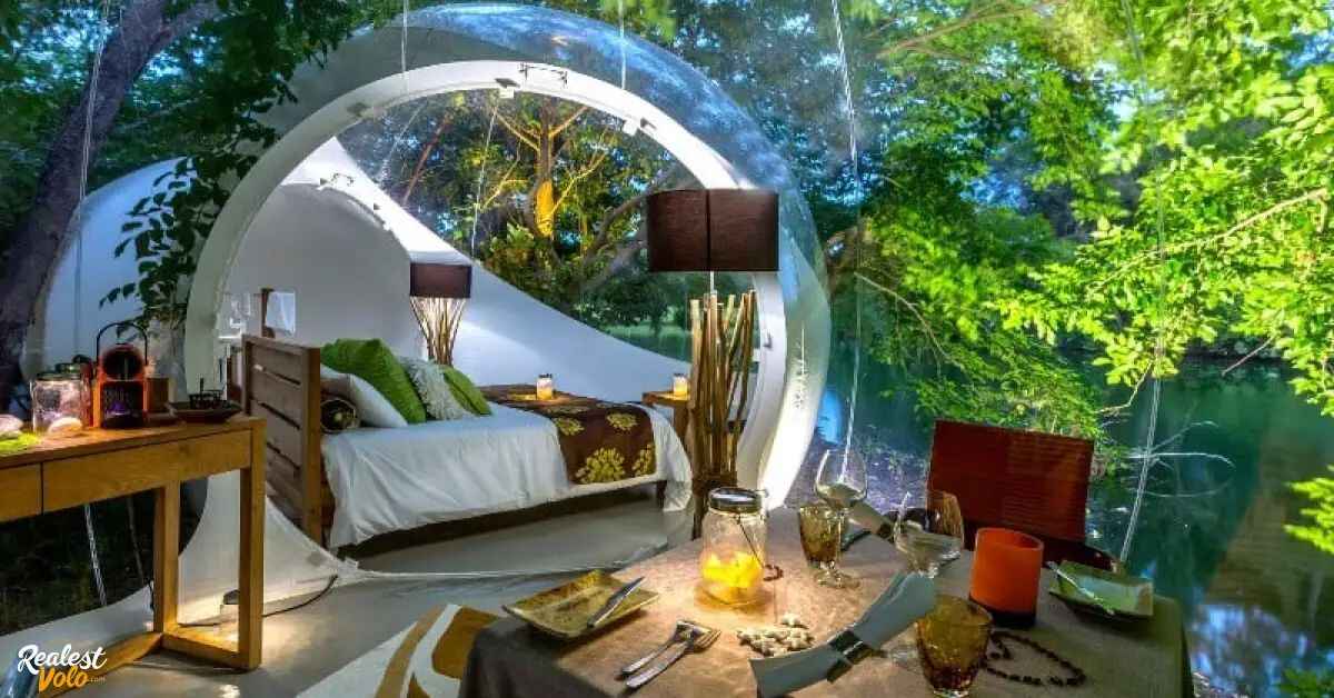 Experience the Unique Wonder of an Inflatable Bubble House (1)